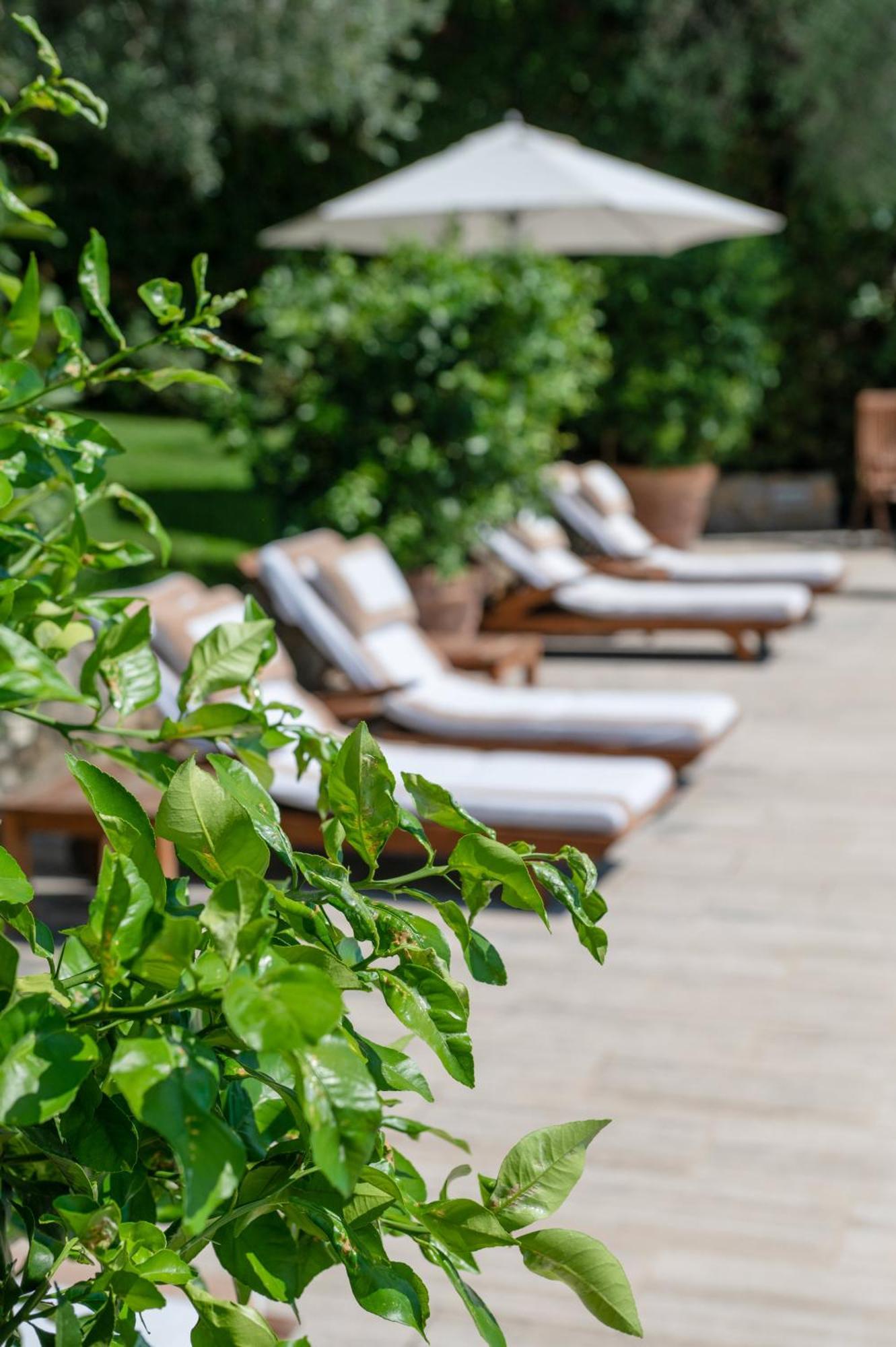Villa Eden Forte Dei Marmi With Private Infinity Pool Santa Lucia (Lucca) Exterior foto