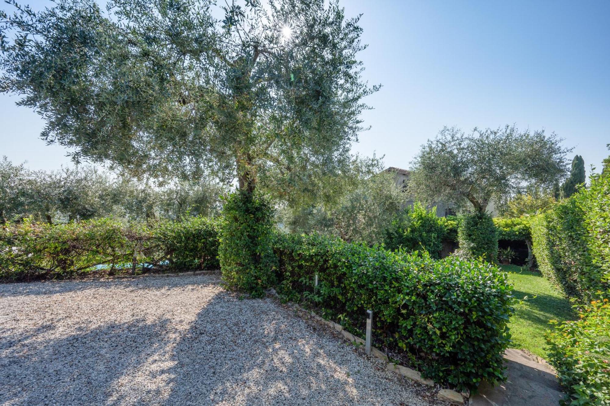 Villa Eden Forte Dei Marmi With Private Infinity Pool Santa Lucia (Lucca) Exterior foto