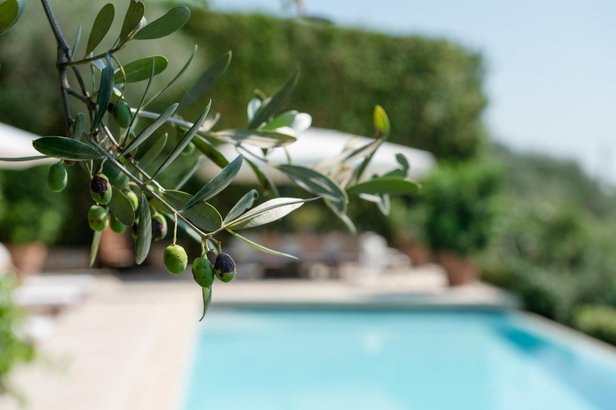 Villa Eden Forte Dei Marmi With Private Infinity Pool Santa Lucia (Lucca) Exterior foto